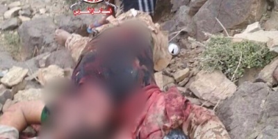 ألوية العمالقة تقتل القيادي الحوثي ابو طه وعدد من من مرافقيه في جبهة الكدحة الوازعية 