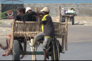 بتزامن مع مشاورات السويد نزوح جماعي للعائلات من حي منظر بالحديدة بسبب قصف الحوثيين لمنازلهم