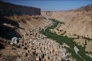 الناطق الرسمي للقوات المسلحة يؤكد ضبط عناصر ارهابية خطيرة في وادي حضرموت