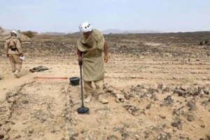مركز الملك سلمان للإغاثة: نزع 7000 لغم حوثي خلال أسبوع   