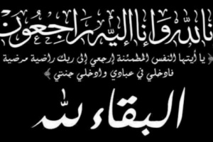 مساعد الامين العام للمجلس الانتقالي يعزي كمال الهمشري في وفاة شقيقة المهندس صدقي