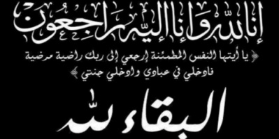 مساعد الامين العام للمجلس الانتقالي يعزي كمال الهمشري في وفاة شقيقة المهندس صدقي