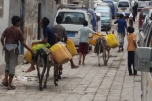 مدن دلتا لحج ..تضحيات كبيرة واهمال كبير 