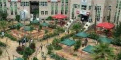 فضيحة جديدة .. انظر ماذا يعمل الحوثيين في بدروم احدى جامعاتها