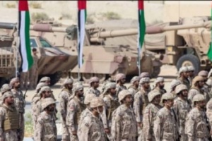 السيد: #الإمارات جعلت العدو متخبطاً وفق سياستها المّحكمة