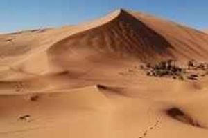 قوات الحزام الامني تنتشل ثلاثة عمال في الكهرباء بعد غرقهم بأحد الكثبان الرملية في الحسوة 