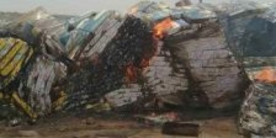 اتلاف كميات كبيرة من الدجاج المجمد الفاسد ب #عدن