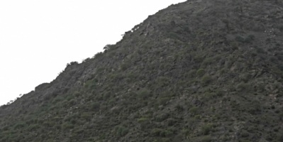 مصرع وجرح عدد من عناصر المليشيات الحوثية إثر محاولة فاشلة لاستعادة تبة السِد باب غلق