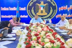 دوش: نبارك خطوات المجلس الانتقالي وندعم حواراته مع المكونات الجنوبية