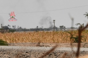 مليشيات تعاود الحشد صوب التحيتا وتستهدف المواقع في المنطقة