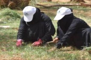 استئناف مشروع استصلاح الأراضي الزراعية في الحزم بمحافظة #الجوف