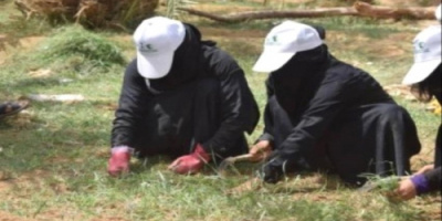 استئناف مشروع استصلاح الأراضي الزراعية في الحزم بمحافظة #الجوف