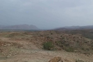 اخر المستجدات في جبهات الضالع الغربية والشمالية