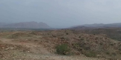 اخر المستجدات في جبهات الضالع الغربية والشمالية