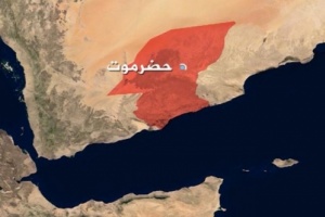 موظفي الجهاز الإداري للدولة بـ #حضرموت يحققون أعلى نسبة للحضور في اليوم الأول