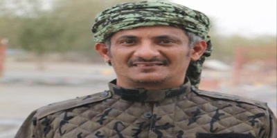 الدبيش: الحكومة مختطفة بأيدي الإخوان ويجب اصلاح هذا الخلل 