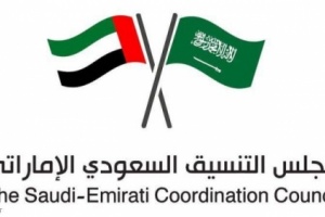 7لجان لتحقيق التكامل السعودي الاماراتي في21 مجالا حيويا 