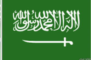 الجبير : بيان #السعـودية لم يصف الجنوبيين بالمتمردين وفرض الوحدة مصيره الفشل