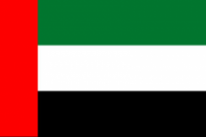 الامارات ترسل ٢٢ جريح إلى مصر للعلاج 