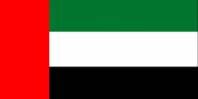 الامارات ترسل ٢٢ جريح إلى مصر للعلاج 