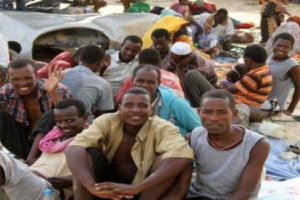 النقاط الأمنية في لحج تضبط 100 أفريقي خلال توجههم للشمال
