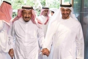 البيان الإماراتية : الامارات والسعودية يد واحدة 