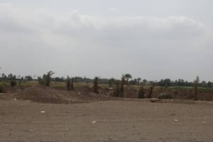 المليشيات الحوثية تدفع بتعزيزات صوب الجبلية في التحيتا وتستهدف مواقع القوات المشتركة 
