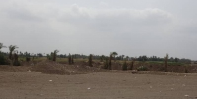 المليشيات الحوثية تدفع بتعزيزات صوب الجبلية في التحيتا وتستهدف مواقع القوات المشتركة 