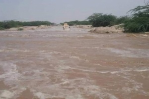شاب يلقي حتفة غرقا بالسيول في أبين 