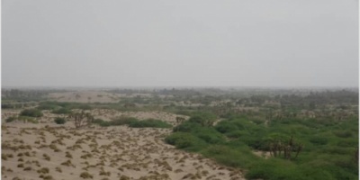 مليشيا الحوثي تواصل خروقاتها اليومية للهدنة الأممية بالحد