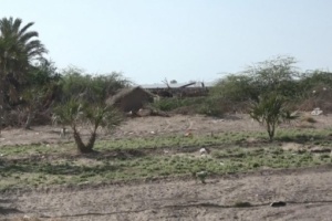 المليشيا الحوثية تواصل التصعيد وتقصف منطقة الفازة الساحلية جنوب محافظة الحديدة