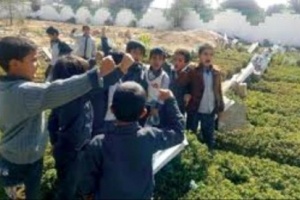 ٣٠ الف انتهاك للمليشيات الحوثية في البيئة التعليمية في صنعاء 