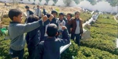 ٣٠ الف انتهاك للمليشيات الحوثية في البيئة التعليمية في صنعاء 