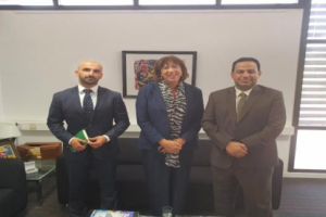 ممثل خارجية الانتقالي يلتقي سفيرة مملكة هولندا لدى #اليـمن
