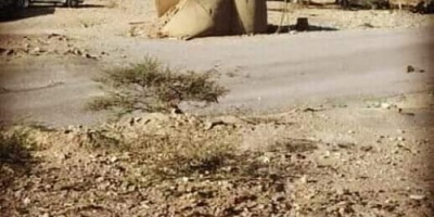 القوات الجنوبية تفشل محاولة مليشيات الإصلاح اقتحام نقطة أمنية بوادي ضيقة بالمحفد  