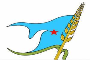 الهيئة القيادية للحزب الأشتراكي في الجنوب تصدر بيان سياسي بمناسبة الذكرى ال "56" لثورة 14 أكتوبر