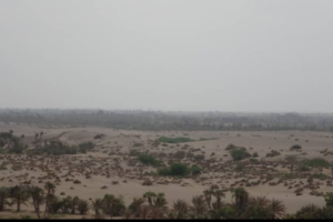 مليشيات الحوثي تواصل خروقاتها بقصف مواقع القوات المشتركة في منطقة الجبلية 