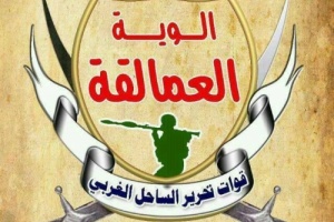 قيادة ألوية العمالقة تناقش مع التحالف العربي الأوضاع والتطورات العسكرية في جبهات القتال 