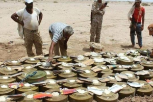 الفرق الهندسية بالقوات الجنوبية تواصل تفكيك الألغام #الحـوثية شمال #الضـالع