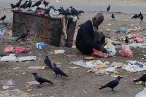 العقلة : شعب الجنوب يأكلون من براميل القمامة والحكومة الشرعية تأكل أموال الشعب