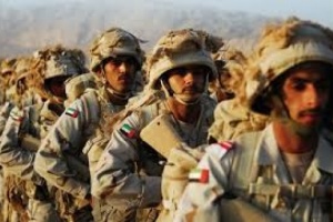 الإمارات تكشف عن أولوياتها الاستراتيجية في اليمن