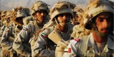 الإمارات تكشف عن أولوياتها الاستراتيجية في اليمن