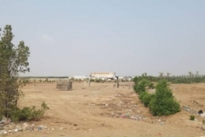 الحديدة : مدفعية الحوثي تمطر منطقة الجريبة بالقذائف وتلحق أضرار بمنازل المواطنين 