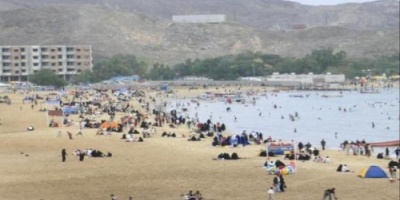 دعوات إعلامية للجهات الأمنية بتوسيع حملة منع القات إلى ساحل جولدمور 