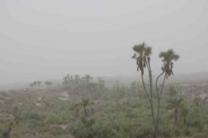 مليشيات الحوثي تقصف القرى السكنية في الجبلية بالأسلحة المتوسطة 