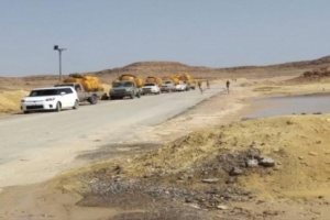 نجاح حملة منع دخول القات في حضرموت والمهرة بشكل كبير.