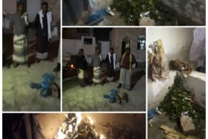 بعد منع البحسني بيع القات في المكلا تجاوب كبير مع القرار ..وعشرات البلاغات عن مروجي القات 