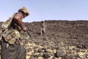 المليشيات الحوثية نتقدم في مأرب 