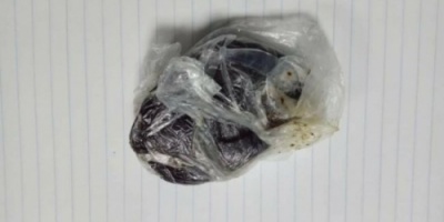 إحباط محاولة تهريب حشيش إلى سقطرى عبر ميناء المكلا 
