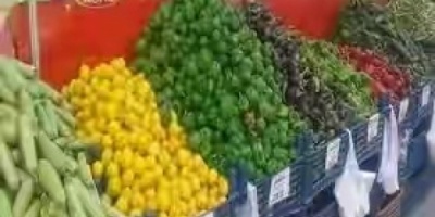 احد المنتجات الزراعية التي تشتهر بزراعته حضرموت ينصح به لتقوية المناعة ضد كورونا .. تعرف عليها !